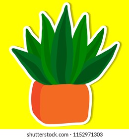 plant of simple color illustrations