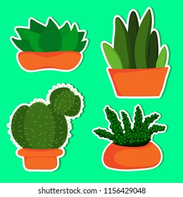 plant of simple color illustrations