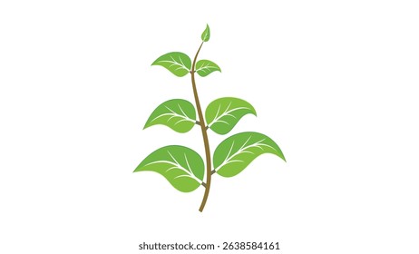 Plant single 11: Blades of grass vector design on white background