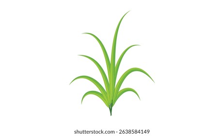 Plant single 6: Blades of grass vector design on white background