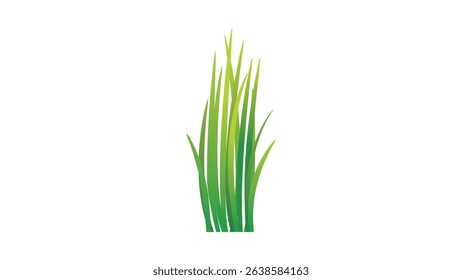 Plant single 8: Blades of grass vector design on white background