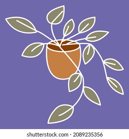 Plant with small leaves, illustration, vector, on a white background.