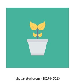  plant soil garden  