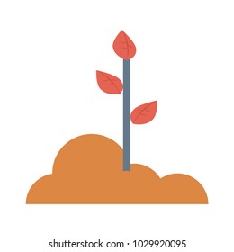 plant soil growth 