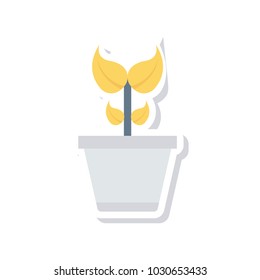 plant soil growth 