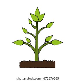 plant in soil icon image 