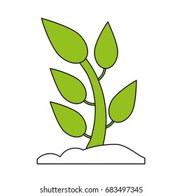 plant in soil icon image