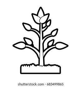 plant in soil icon image