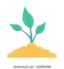 plant soil nature