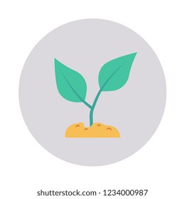 plant  soil  nature  