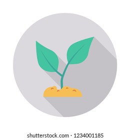 plant  soil  nature  