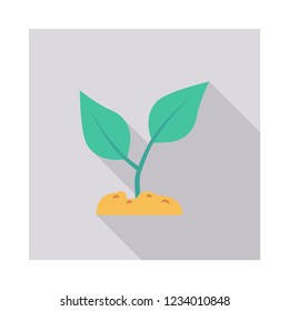 plant  soil  nature  