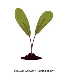 plant in soil planting icon isolated