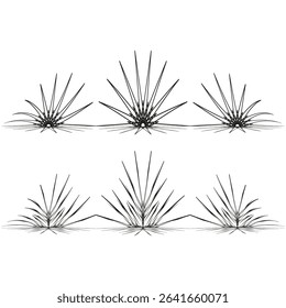 Plant spike icon. Desert flora symbol. Black spike pattern. Vector illustration.