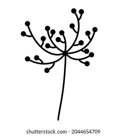 Plant sprig vector icon.Hand drawn doodle on white.A branch with an inflorescence and round seeds. Botanical sketch.Natural clip-art for decoration and design of cards, invitations, floristic web, t