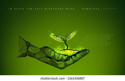 Plant sprout biotechnology. Seedling tree leaves DNA genome engineering vitamin supplement. Abstract illustration isolated on green background. Medical science life eco. Low poly wireframe.