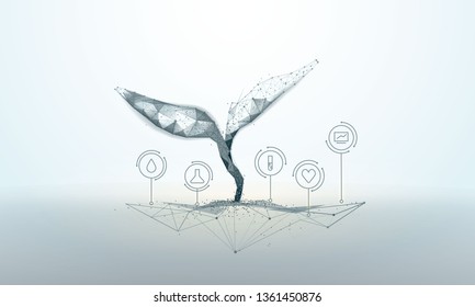 
Plant sprout biotechnology. Seedling tree leaves DNA genome engineering vitamin supplement. Abstract illustration isolated on light background. Low poly wireframe. Particles are connected line