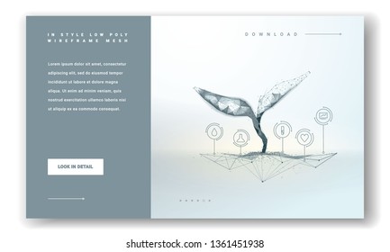 Plant sprout biotechnology. Seedling tree leaves concept for webpage or postcard. Abstract illustration isolated on ligh background. Low poly wireframe. Particles are connected lines