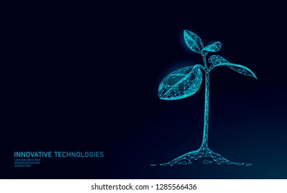 Plant sprout ecological abstract concept. 3D render seedling tree leaves. Save planet nature environment grow life eco polygon triangles low poly vector illustration