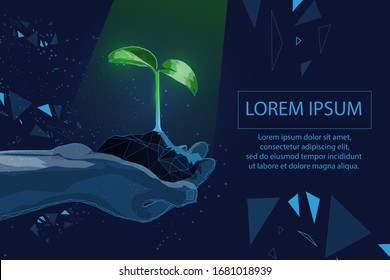 Plant sprout ecological abstract concept.  seedling tree leaves. Save planet nature environment grow life eco polygon triangles low poly vector illustration,EPS10