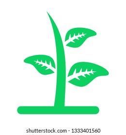 plant and sprout growing icons flat line design vector - Vector