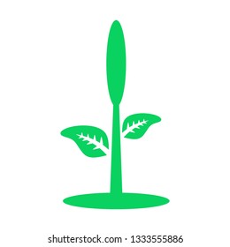 plant and sprout growing icons flat line design vector - Vector