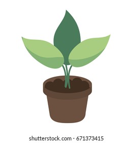 plant sprout icon image 