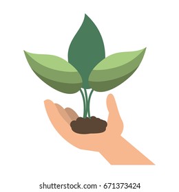 plant sprout icon image 