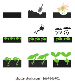 Plant and sprout icon set. Growing icons flat design vector.
