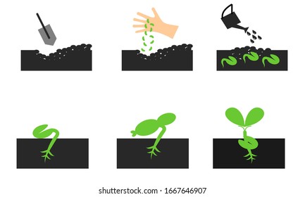 Plant and sprout icon set. Growing icons flat design vector.