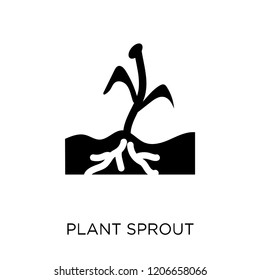 plant Sprout icon. plant Sprout symbol design from Agriculture, Farming and Gardening collection. Simple element vector illustration on white background.