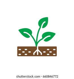 Plant, sprout icon vector, filled flat sign, solid colorful pictogram. Symbol, logo illustration