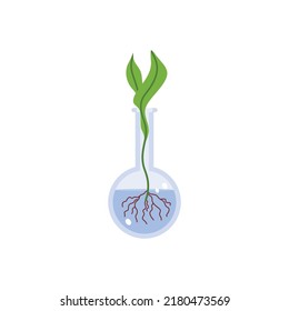 Plantar brote en el matraz de laboratorio para la genética y el tema de la bioingeniería, ilustración vectorial plana aislada en el fondo blanco. Investigación de plantas de ADN químico y biológico.
