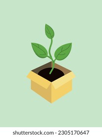 Plant sprout with leaves in a box. 