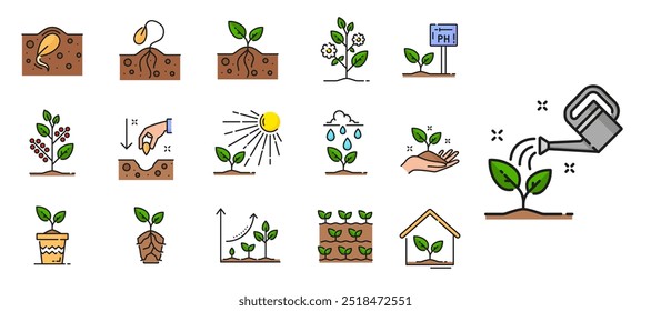 Ícones de linha de broto de plantas, solo com sementes, ramos e folhas verdes, agricultura, horticultura e agronomia. Plantas e árvores vetor de crescimento delineiam sinais de solo de jardim, brotos, mudas e mudas