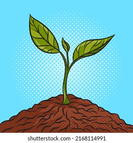 plant sprout pop art retro vector illustration. Comic book style imitation.