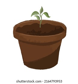 plant sprout in a pot, grown from the ground, soil fertilizer, rich harvest, harvest fruits, stem with roots, seedling transplant