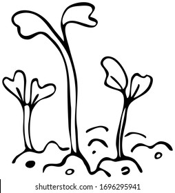 Plant Sprout, Seedling Flat Icon, Spring Young Sprout With Stem, Leaves And Bud Growing From The Soil, Simple Pictogram. Vector Graphic Design Element. Green Enviromental EPS 8