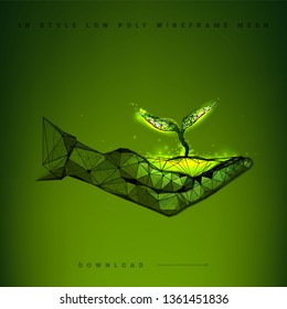 Plant sprout. Seedling tree leaves concept for ayurveda or alternative medicine.Abstract illustration isolated on green background. Low poly wireframe.Particles are connected in a geometric silhouette