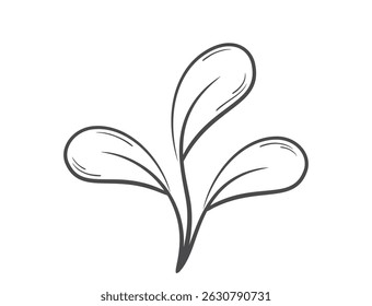 Plant sprout with three stems and rounded leaves line illustration. Spring, planting and nature design element. Isolated vector image