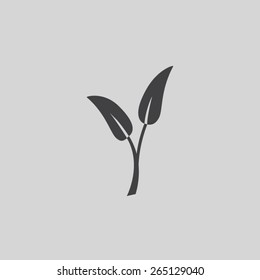 Plant sprout vector icon