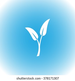 Plant sprout vector icon