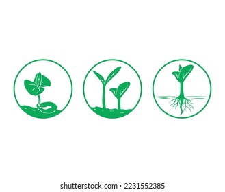 Plant sprout vector icon, seeds of growth on a white background