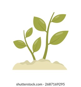 Planta que brota del Vector del icono de la planta del suelo aislado en el fondo blanco para su Web y diseño móvil del App, concepto del logotipo de la planta