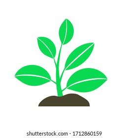 plant sprouting from ground. Symbol of ecology, environmental awareness