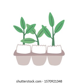 Plant sprouts in eggshell flat vector illustration. Greenery, houseplant sprigs. Gardening, horticulture, plant breeding. Small herbal shoots in egg tray isolated on white background.