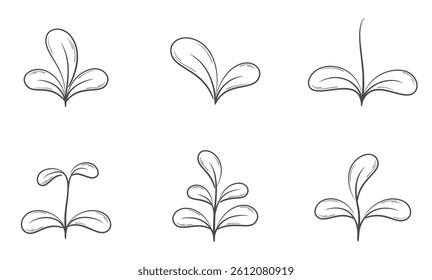 Plant sprouts with rounded leaves line illustrations. Nature and planting design elements. Isolated vector images