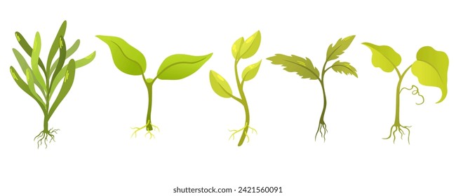 Plant sprouts. Seedling gardening plant. Seeds sprout in ground. Sprout, plant, tree growing agriculture icons. Vector hand draw flat illustration isolated on white background.