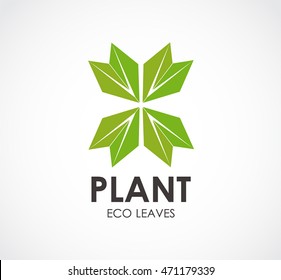 Plant of star leaf abstract vector and logo design or template eco business icon of company identity symbol concept