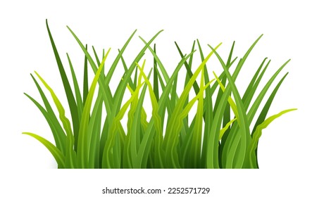 Plant stems for front plan nature illustration isolated. Green grass realistic. Detailed fresh green vector grass